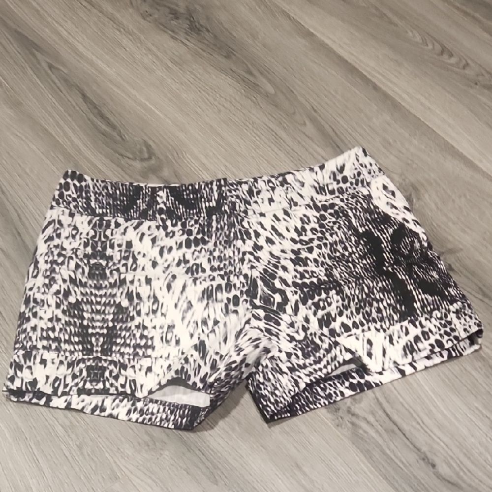 7th Avenue Chino Wht/Blk/Gray Shorts